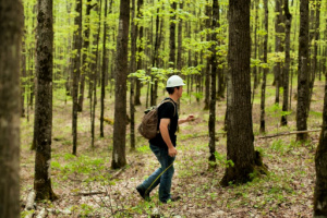 student in forest with digital tools