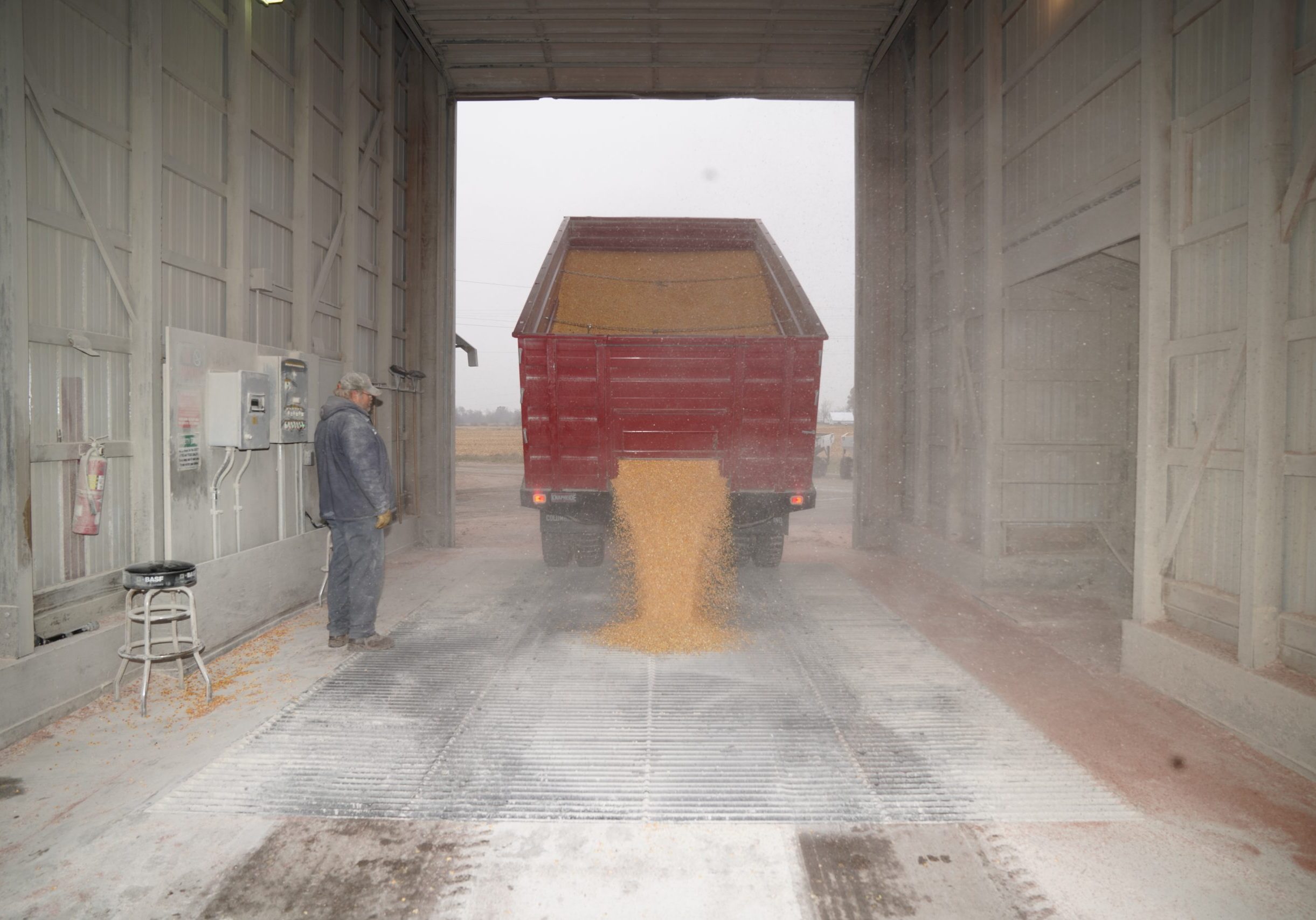 truck dumping grain