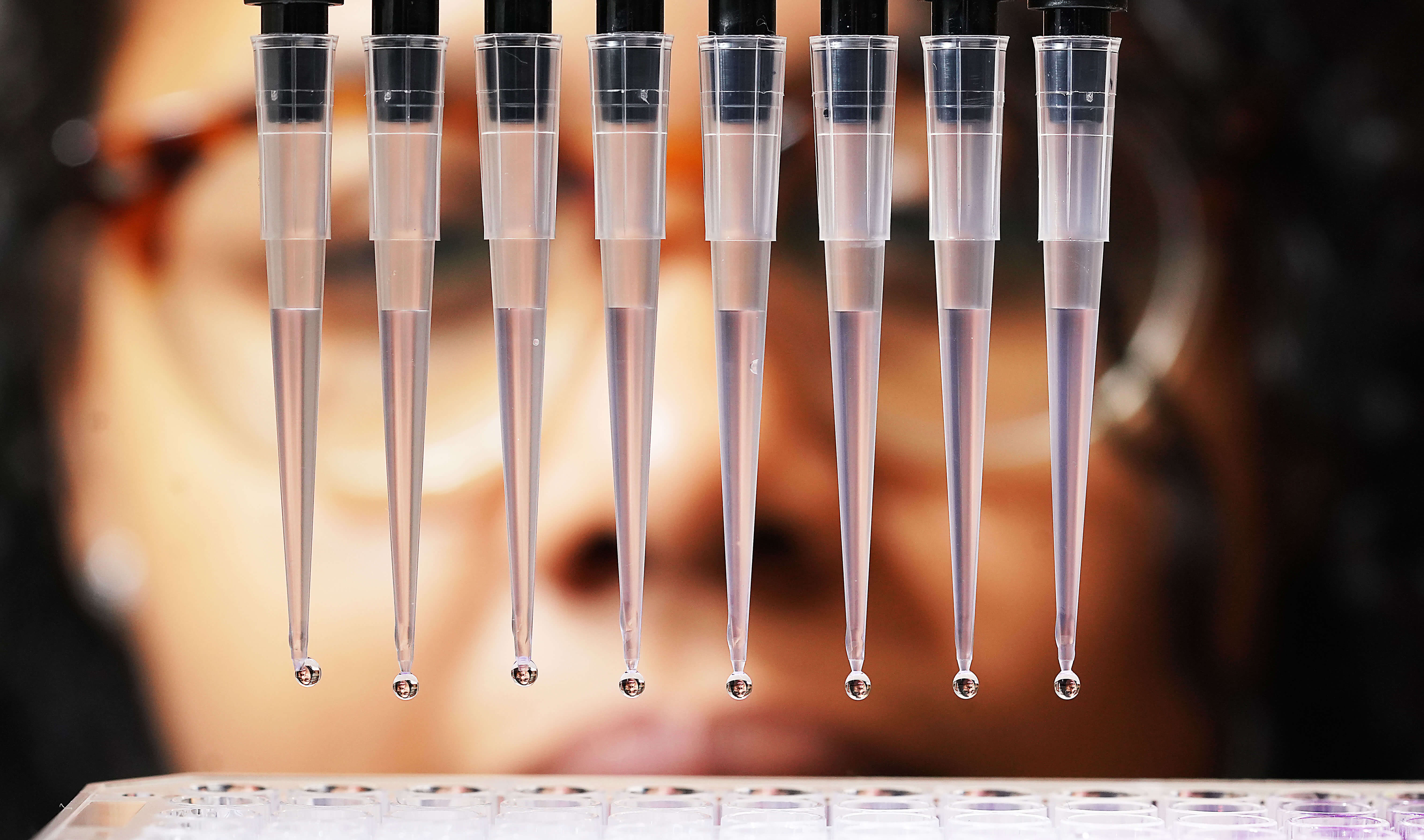 Image of a students looking a samples on pipets 