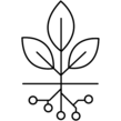 Majors icon (graphic image of  three leaf) 