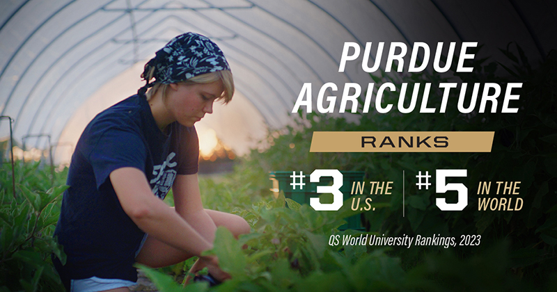 Purdue Ag ranked third in the US and fifth in the world