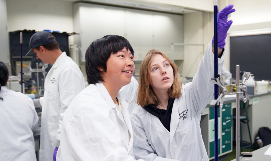 Students working in lab