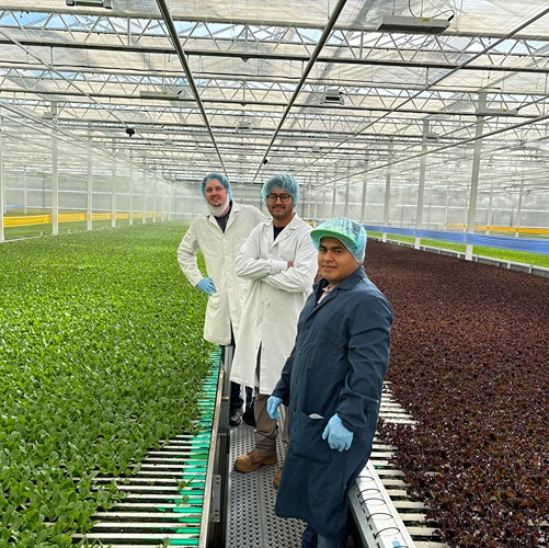 Hari, Purdue alumni stands in greenhouse.