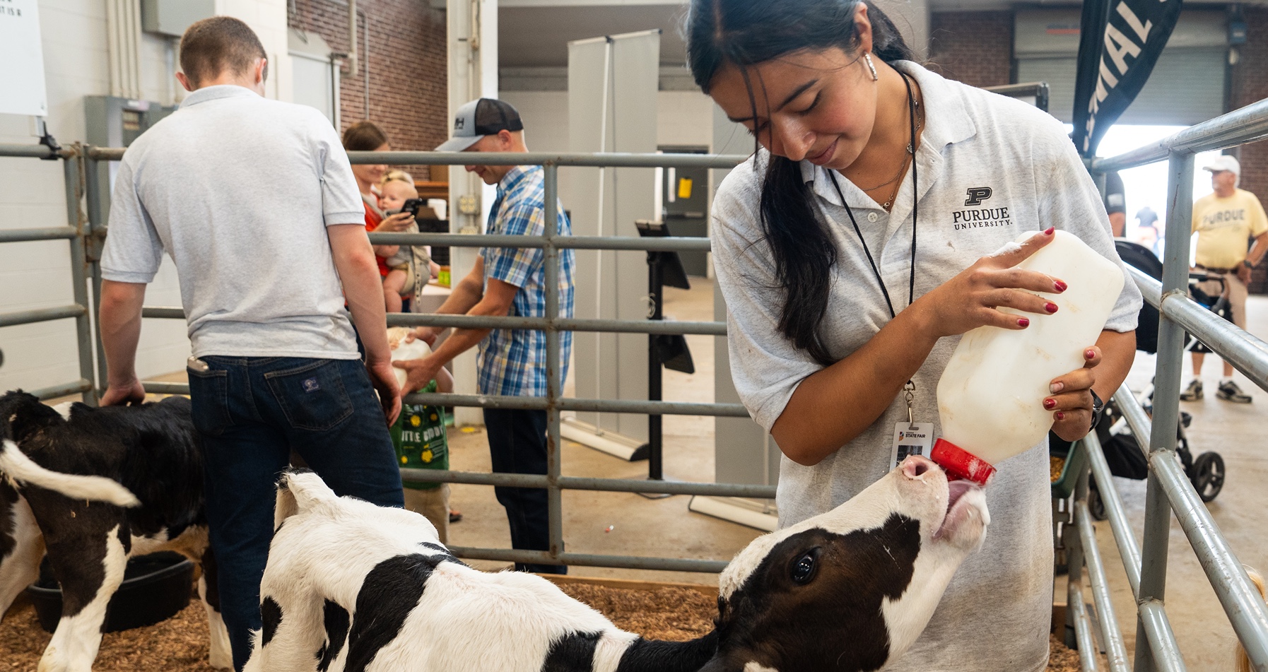 Students helping animals at the State Fair. 