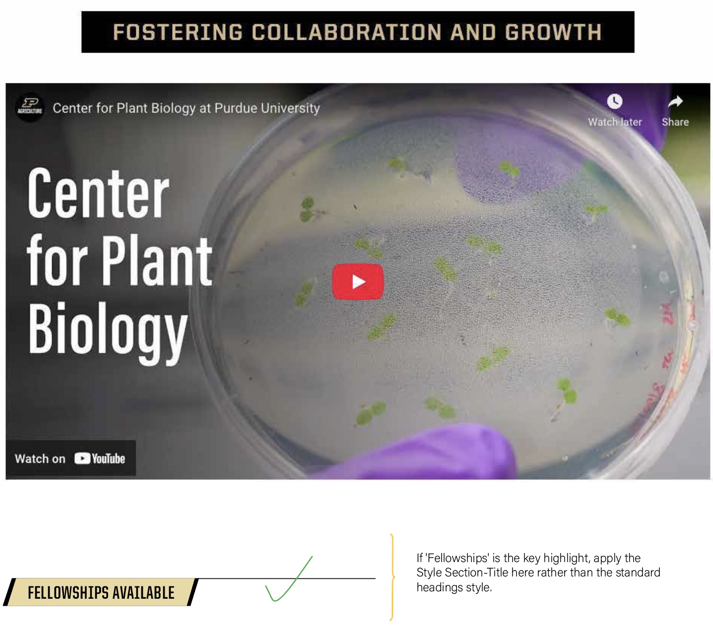 Section title example 2