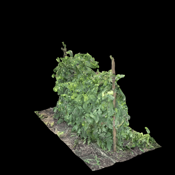 crop model animation