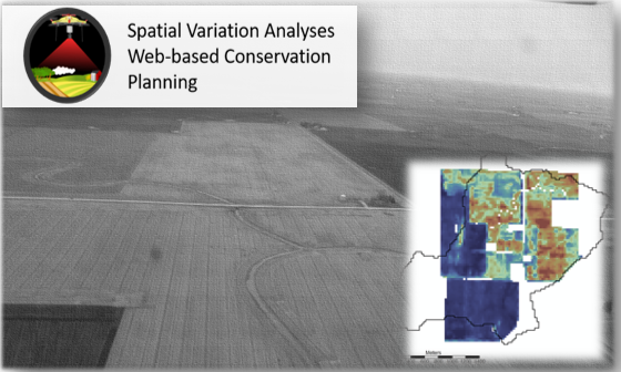 spatial variation analyses