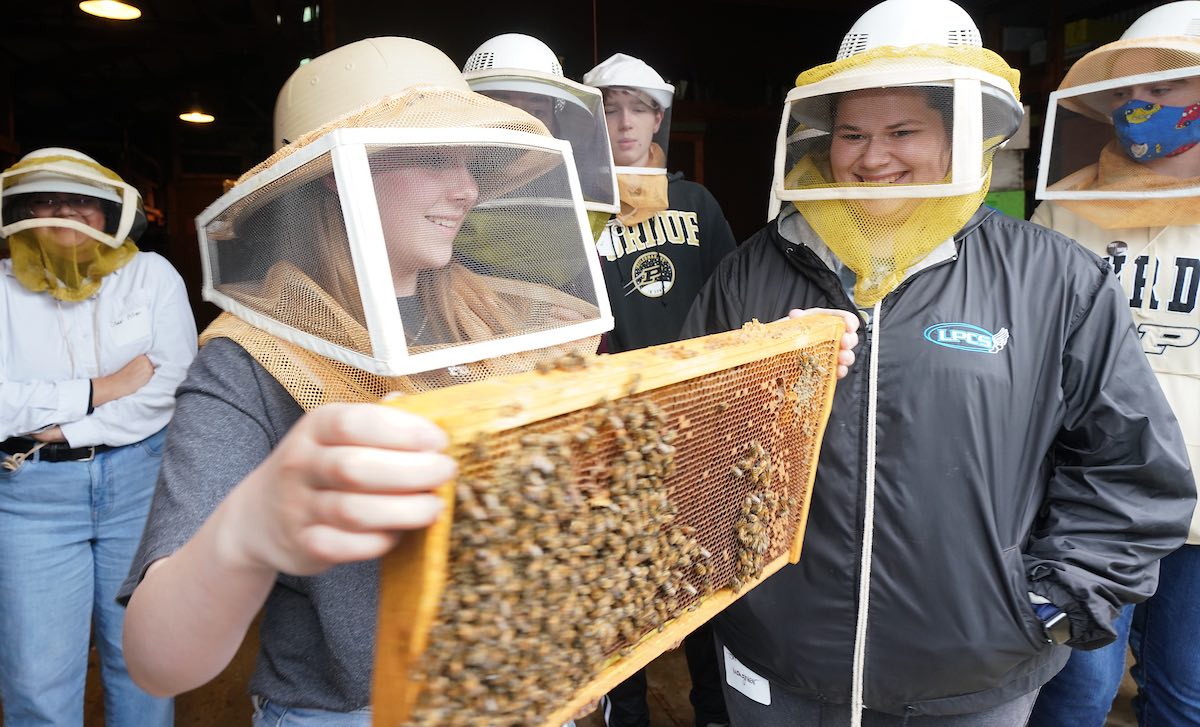 students holding a beehive frame