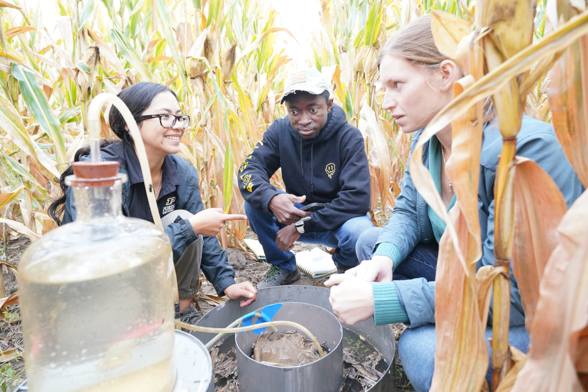 Graduate Corn Prospective Students