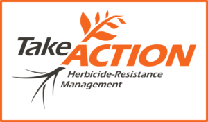 Take Action Logo