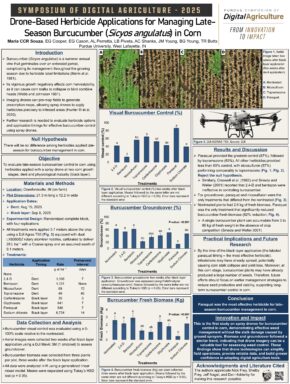 SyDAg 2025_MariaSouza_poster