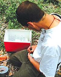 Ecologist working in field