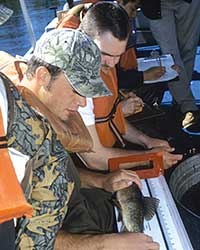 Fisheries Scientist at work