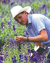 Range Manager examining plants in field