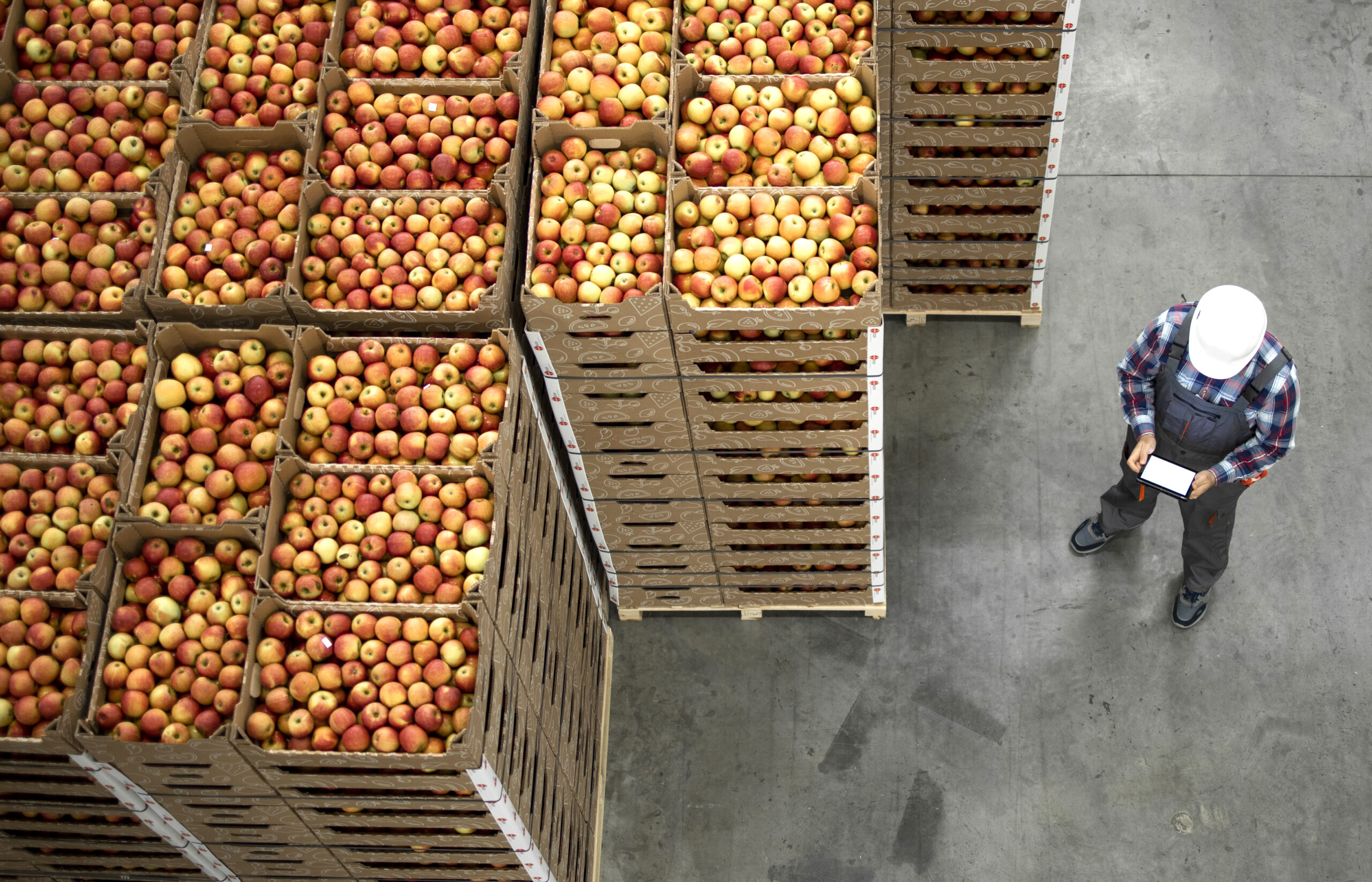 Worker next to crates of apples in warehouse setting