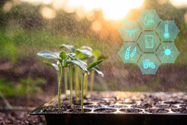 Plant seedlings growing next to digital display of icons related to plant health.