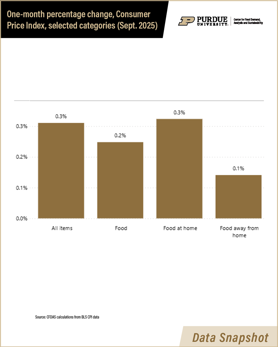 Detailed view of US Food Insecurity Rate dashboard