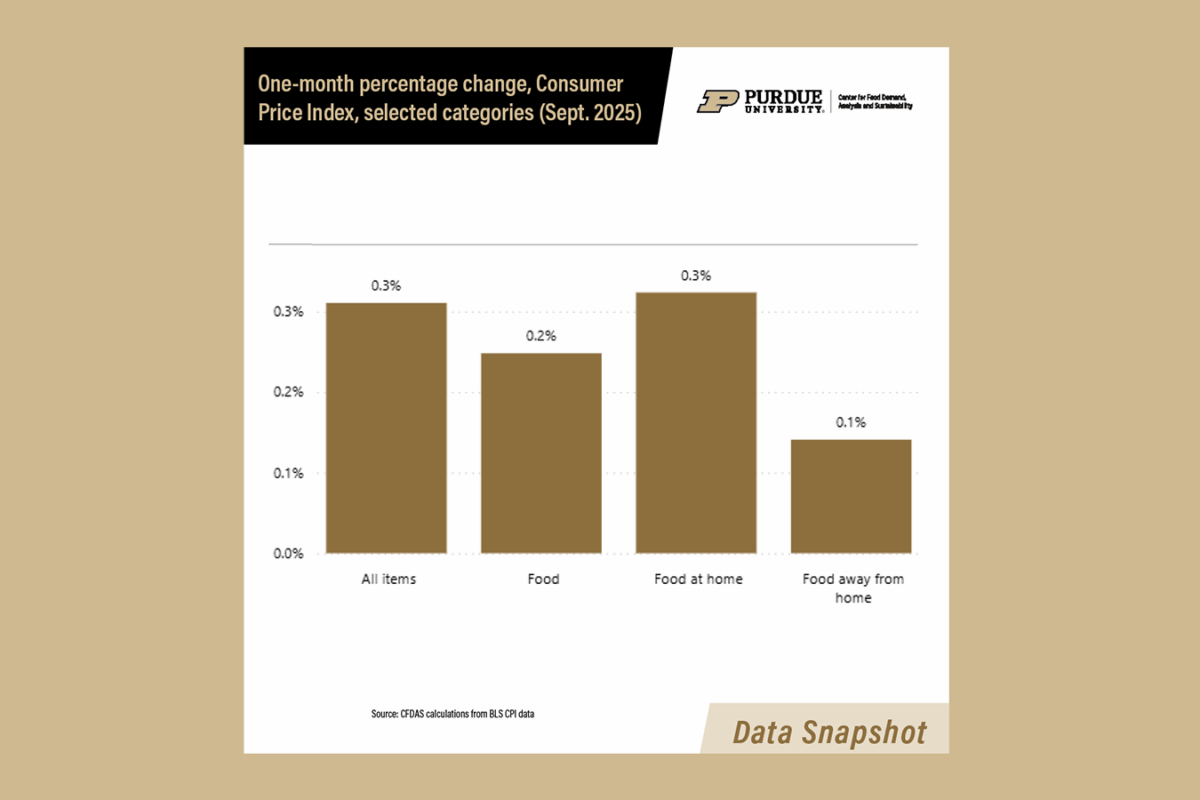 thumbnail of data snapshot