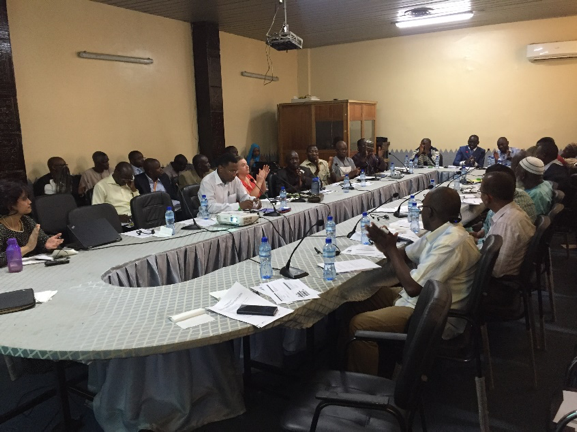 Policy workshop in Niamey, April 1, 2019.