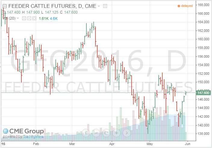 calculating feeder cattle futures contract