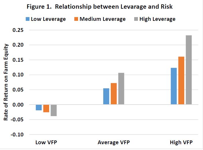 Figure 1. Relationship between Leverage and Risk