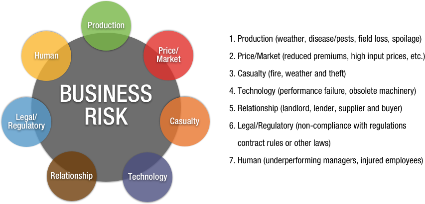 business risk