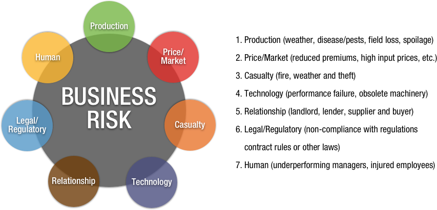 what is financial risk for a company