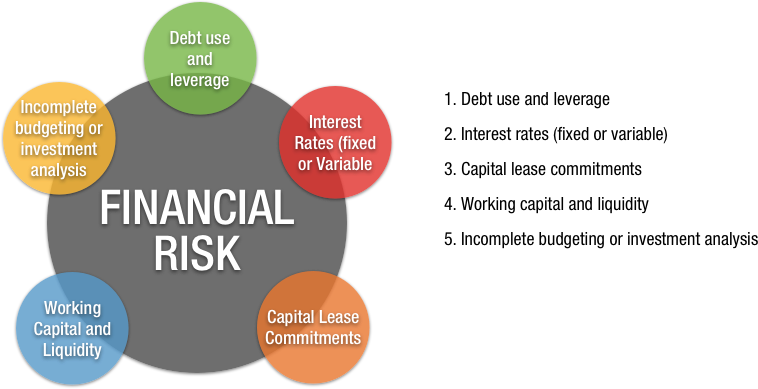 what are the financial risk of a business