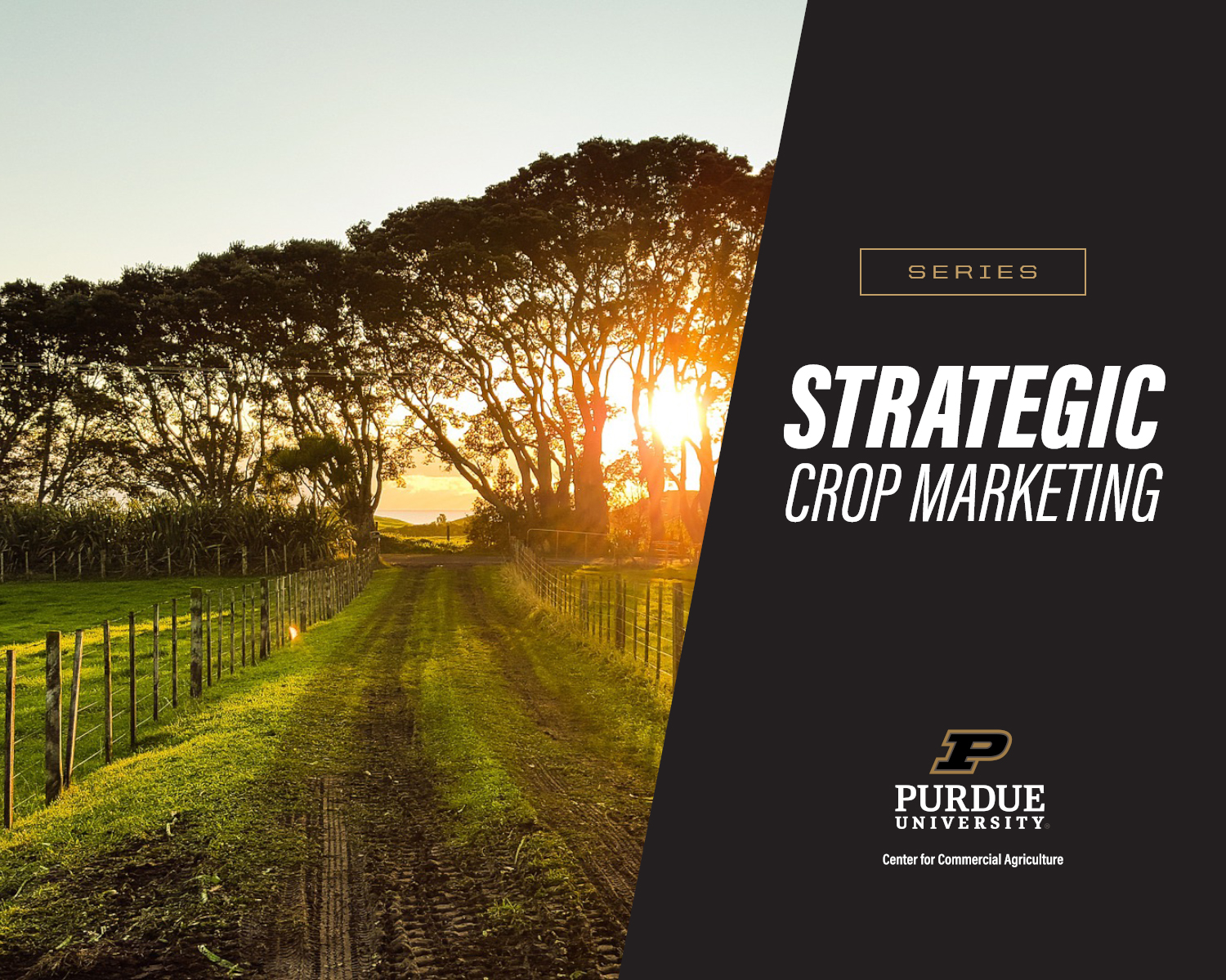 Strategic Crop Marketing Series