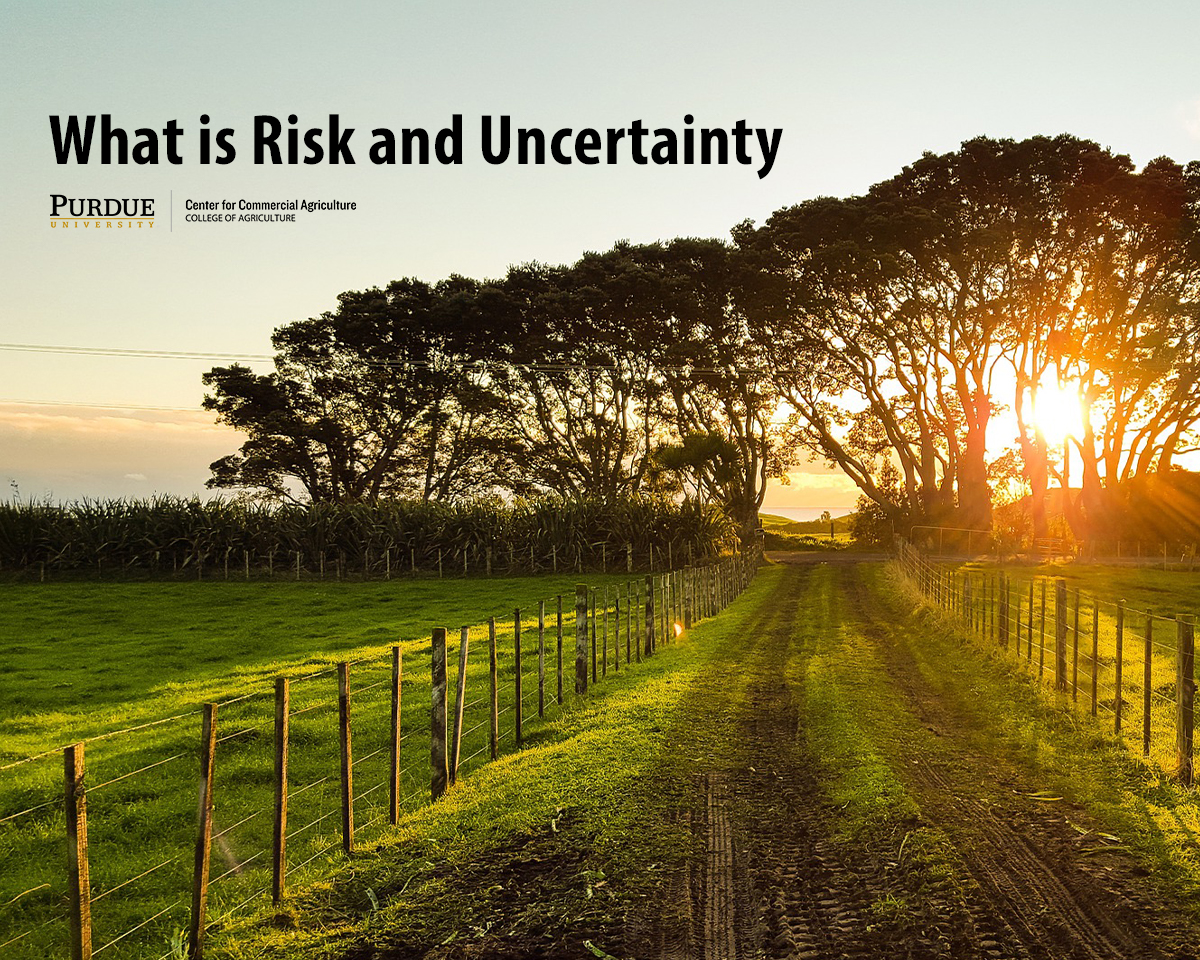 What is Risk and Uncertainty Center for Commercial Agriculture