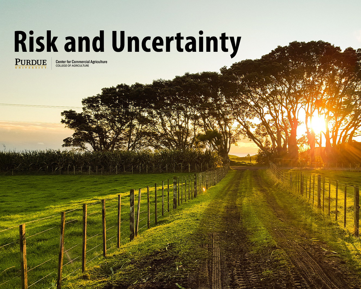 Risk and Uncertainty Series