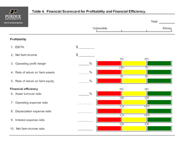 Table 4. Financial Scorecard for Profitability and Financial Efficiency.