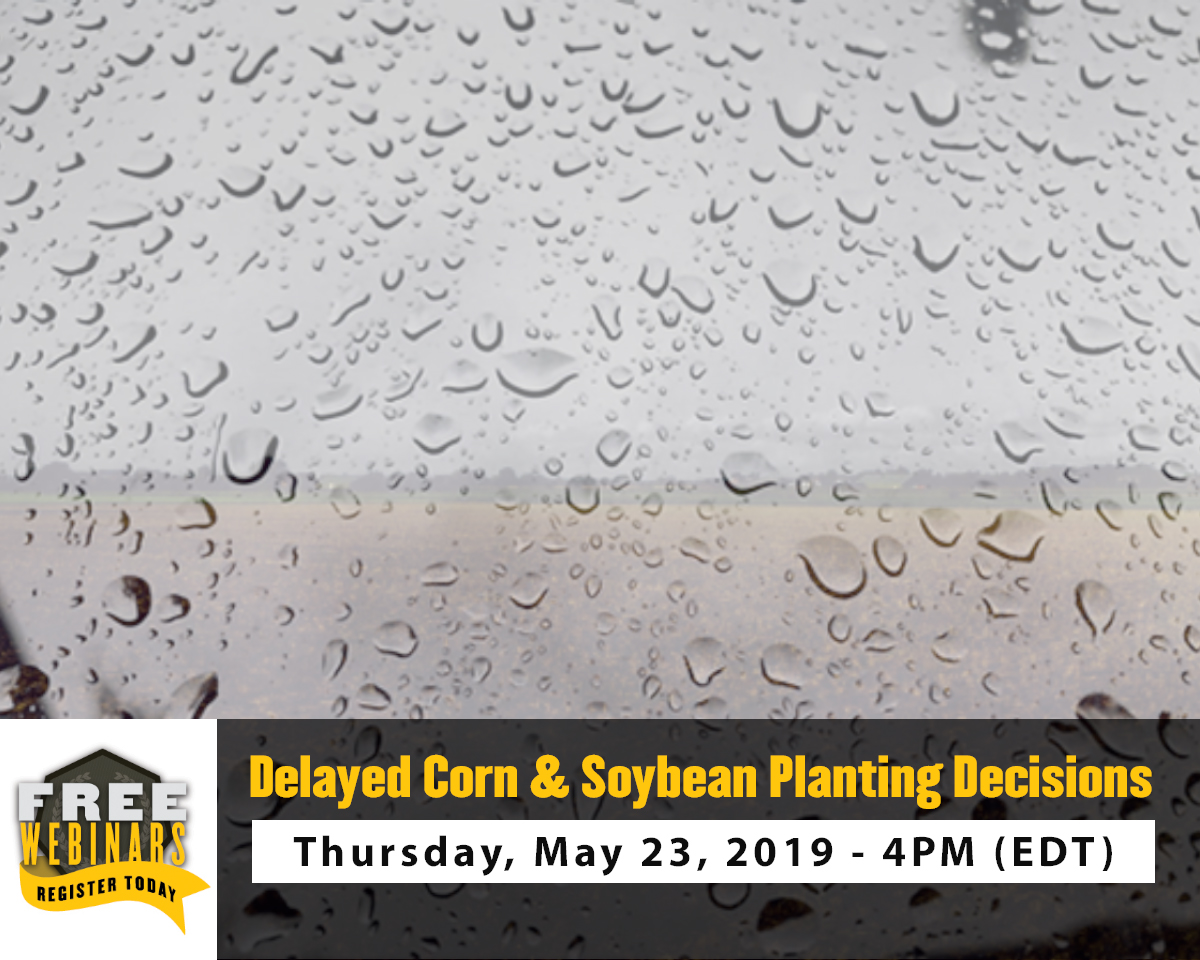 Delayed Corn and Soybean Planting Decisions