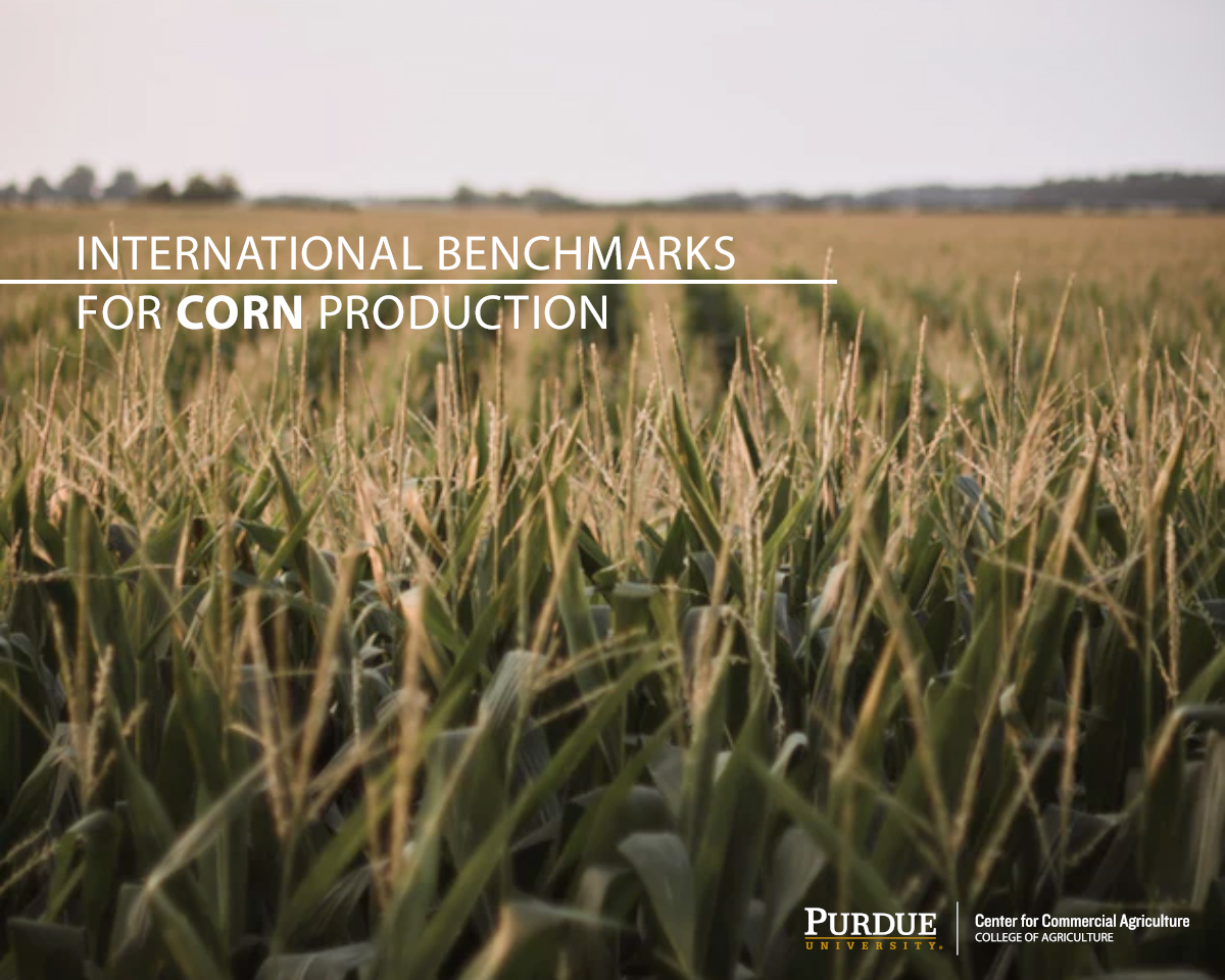 International Benchmarks for Corn Production
