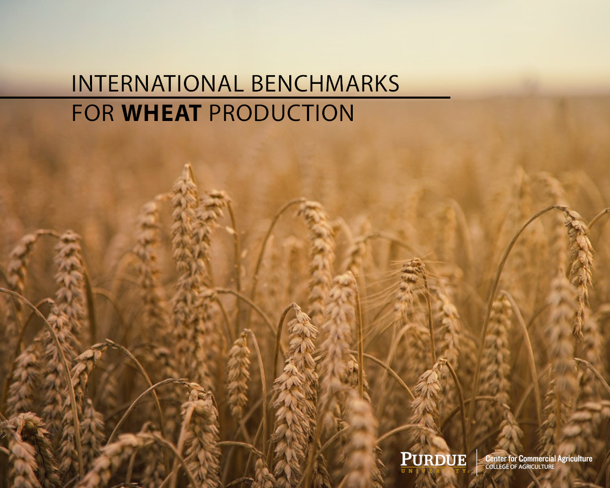 INTERNATIONAL BENCHMARKS FOR WHEAT PRODUCTION
