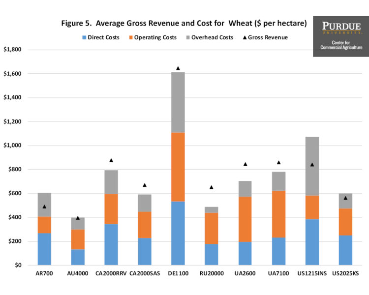 Figure 5. Average Gross Revenue and Cost for Wheat ($ per hectare)