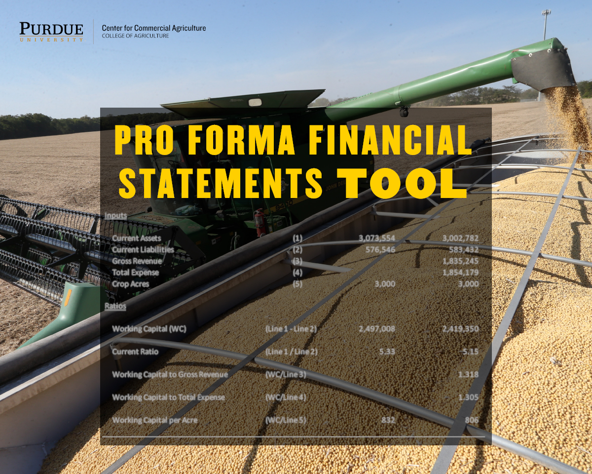 Pro forma Financial Statements Tool