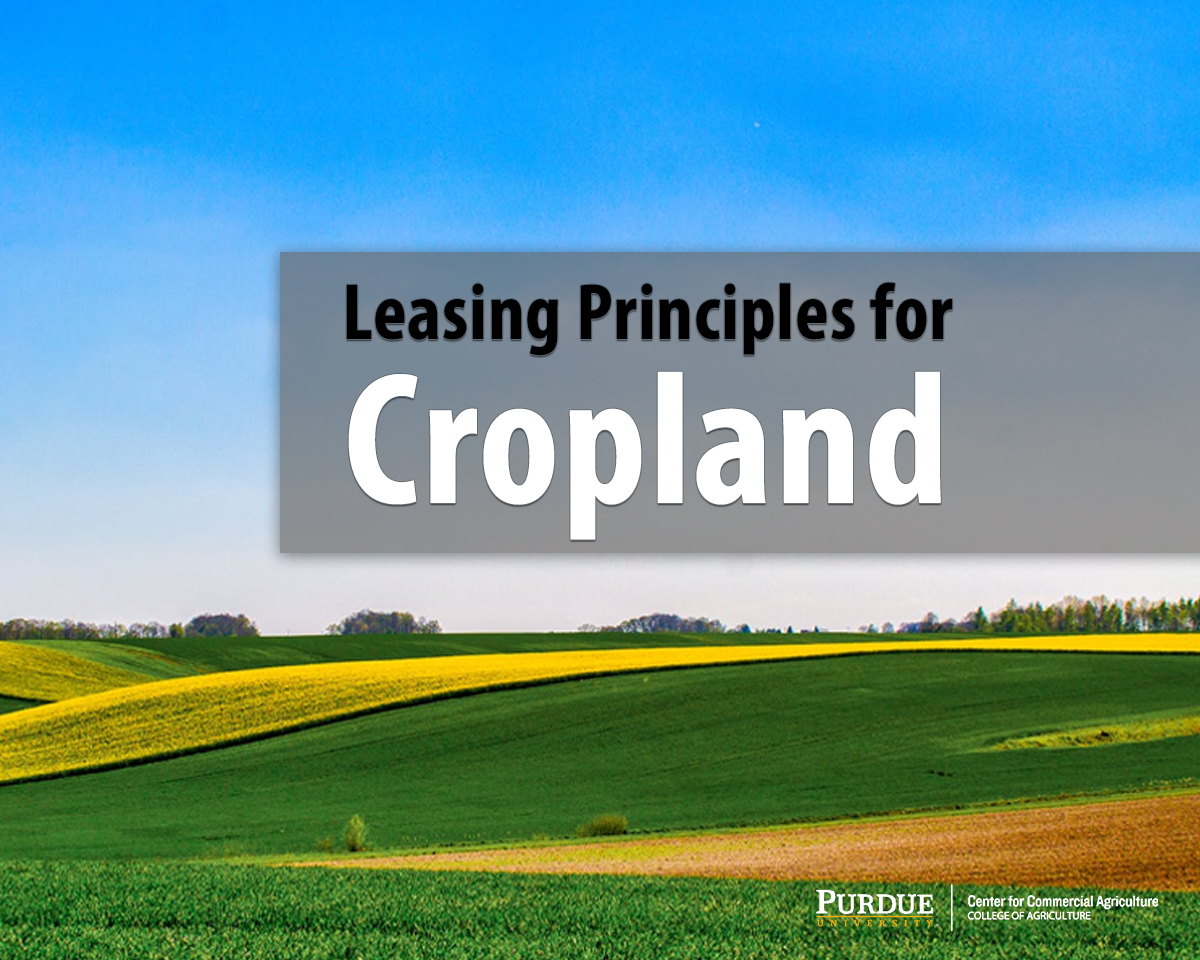 Leasing Principles for Cropland Center for Commercial Agriculture