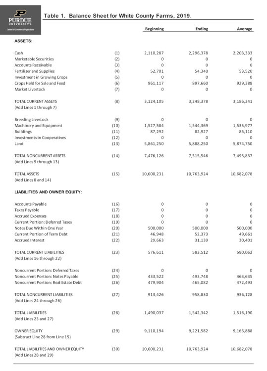 Table 1. Balance Sheet for White County Farms, 2019.