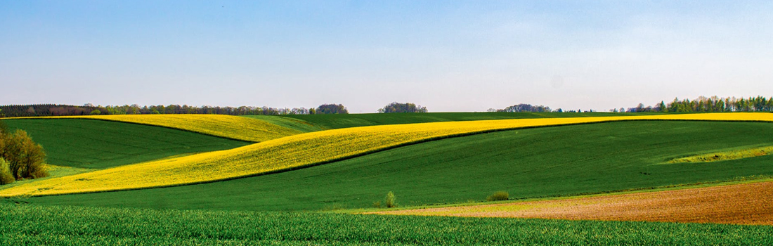 Series-LeasingLand_Banner1100x350
