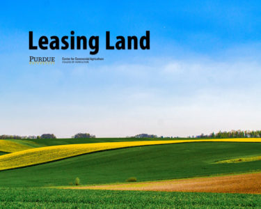 Leasing Land - Center For Commercial Agriculture