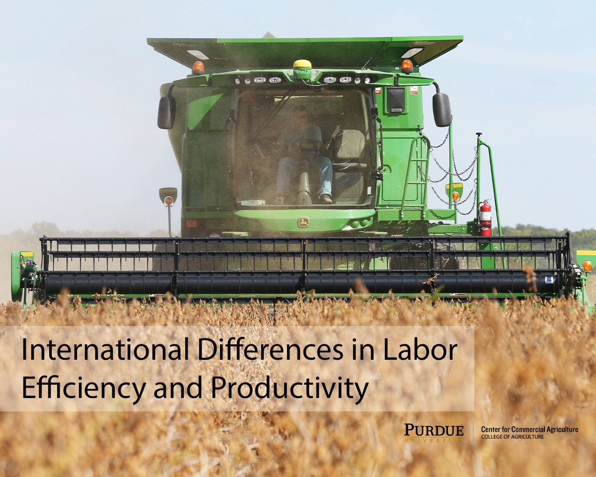 International Differences in Labor Efficiency and Productivity