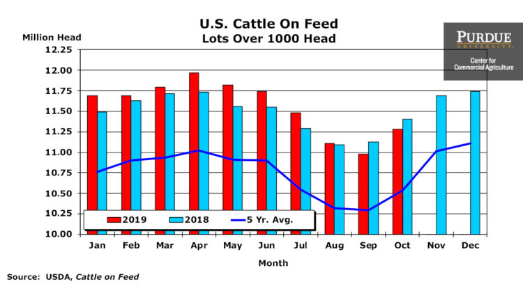 U.S. Cattle on Feed, Lots Over 1000 Head