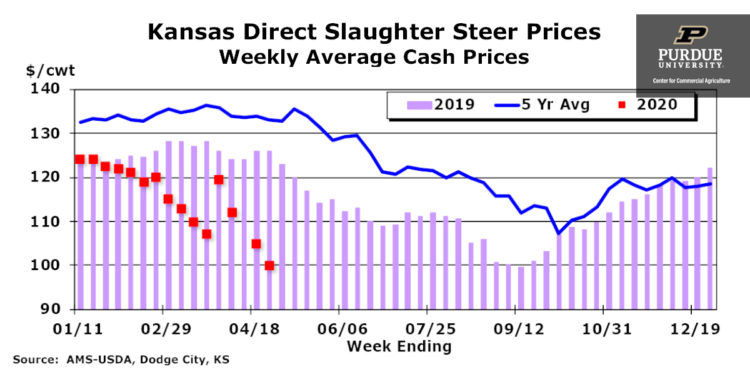 Kansas Direct Slaughter Steer Prices, Weekly Average Cash Prices