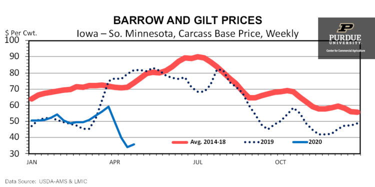 Barrow and Gilt Prices, Iowa - So. Minnesota, Carcass Base Price, Weekly