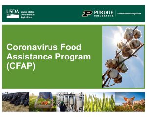 Coronavirus Food Assistance Program (CFAP) Application Details