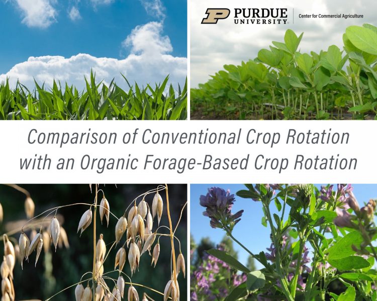 Comparison Of Conventional Crop Rotation With An Organic Forage-Based ...