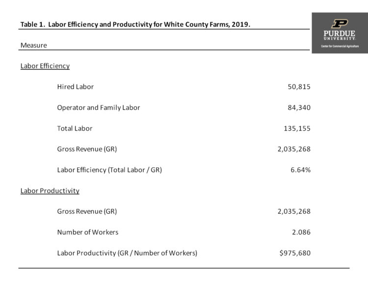 Table 1.  Labor Efficiency and Productivity for White County Farms, 2019.