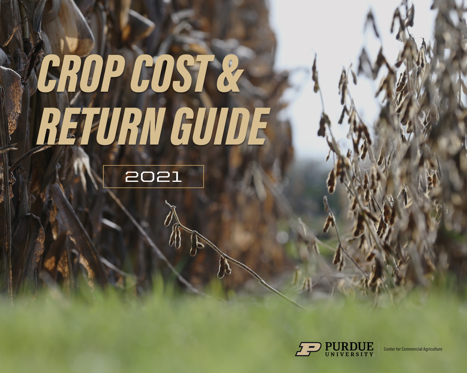 2021 Crop Cost & Return Guide Purdue University