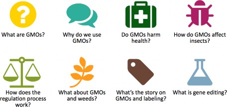 Eight GMO questions the new project answers: (1) What are GMOs, (2) Why do we use GMOs?, (3) Do GMOs harm health?, (4) How do GMOs affect insects?, (5) How does the regulation process work?, (6) What about GMOs and weeds?, (7) What's the story on GMOs and labeling?, and (8) What is gene editing?